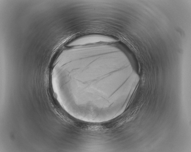 X0000115330446200912141223