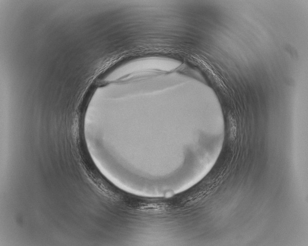 X0000115330447200912141223