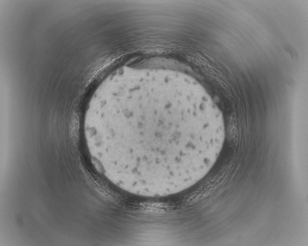 X0000115330448200912141223