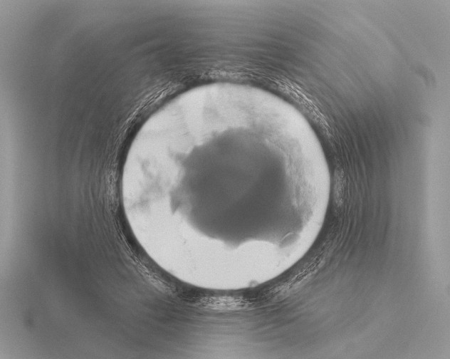 X0000115330449200912141223