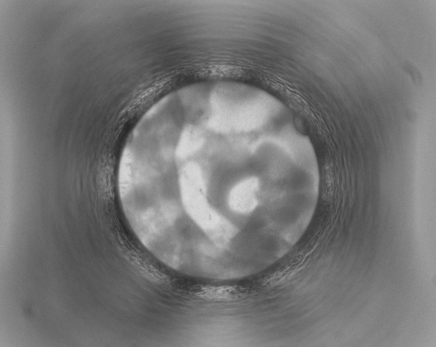 X0000115330450200912141223