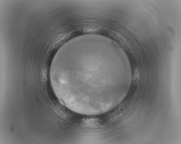 X0000115330452200912141223