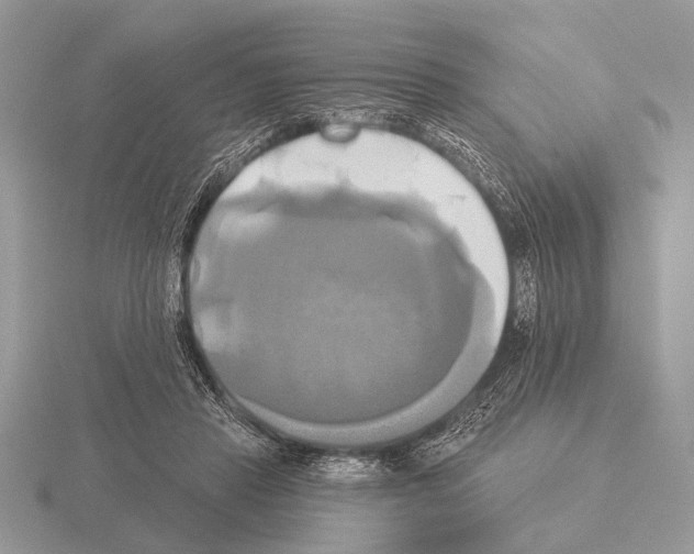 X0000115330453200912141223