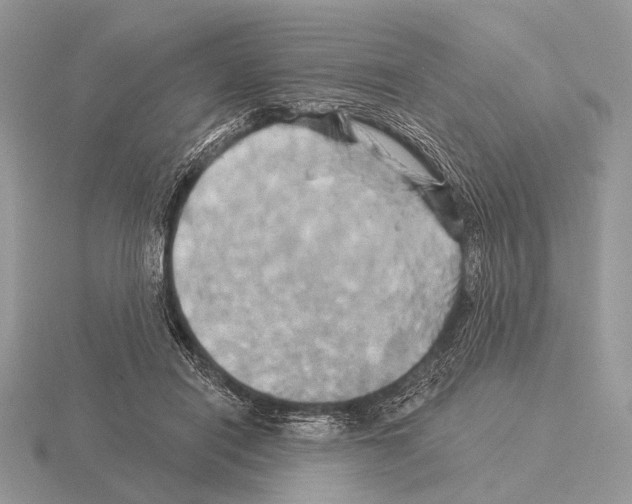 X0000115330454200912141223