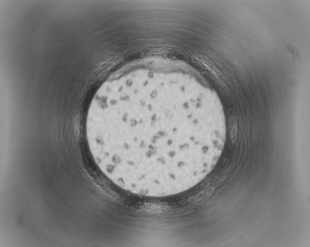 X0000115330455200912141223