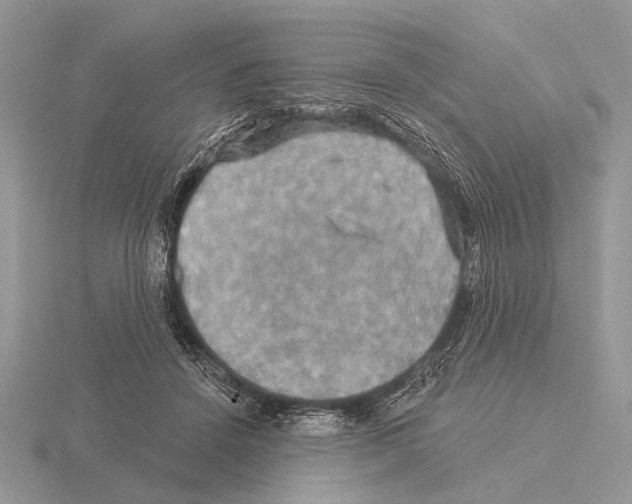 X0000115330456200912141223