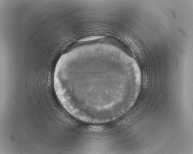 X0000115330457200912141223