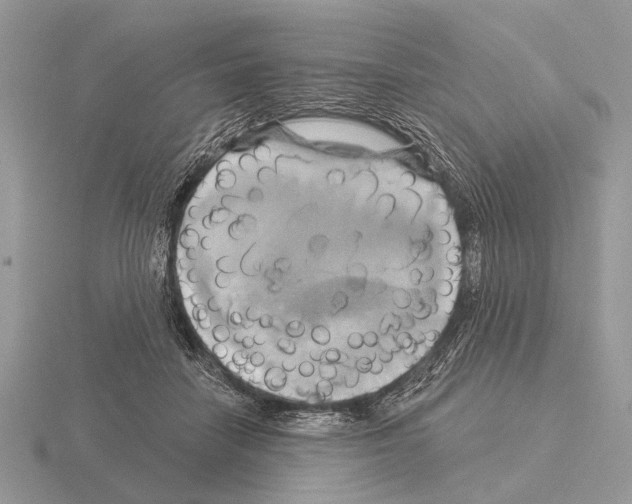 X0000115330458200912141223