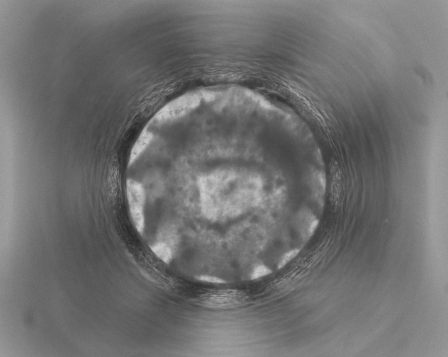 X0000115330459200912141223