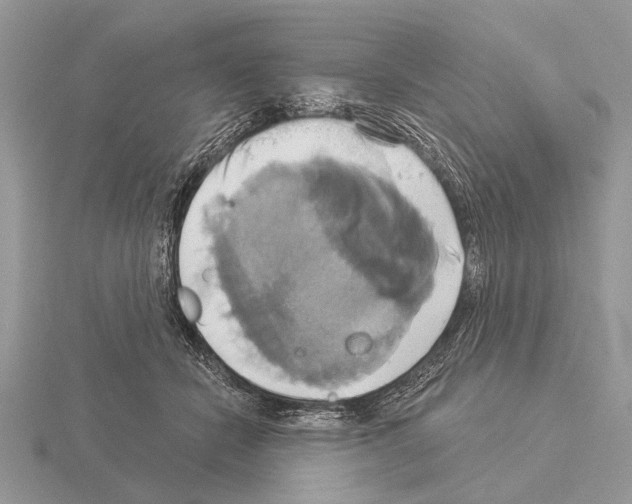 X0000115330462200912141223