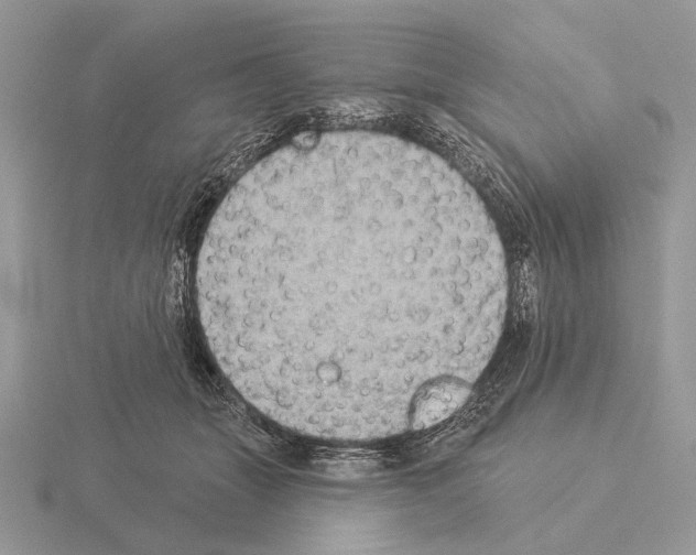 X0000115330463200912141223