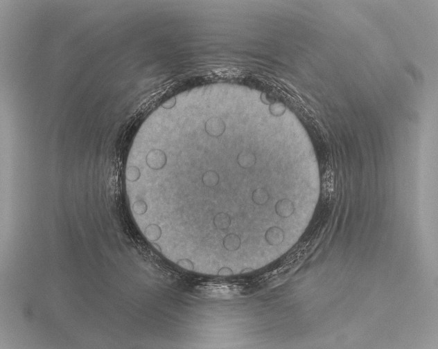 X0000115330464200912141223