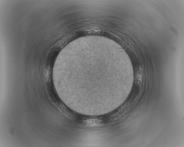 X0000115330468200912141223