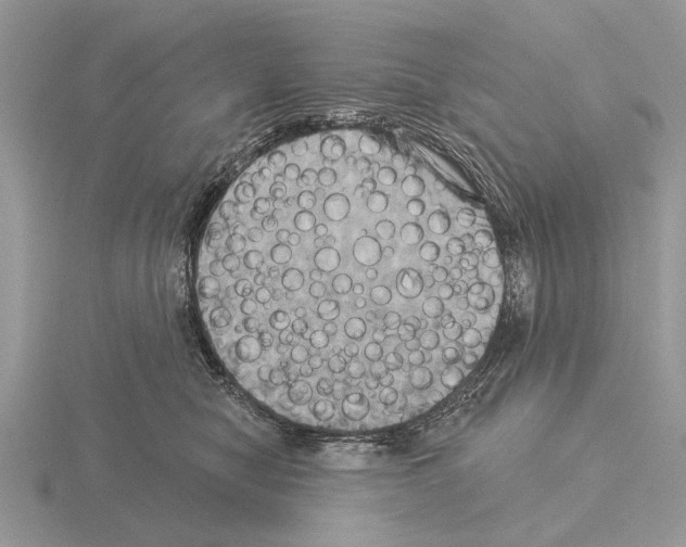 X0000115330470200912141223