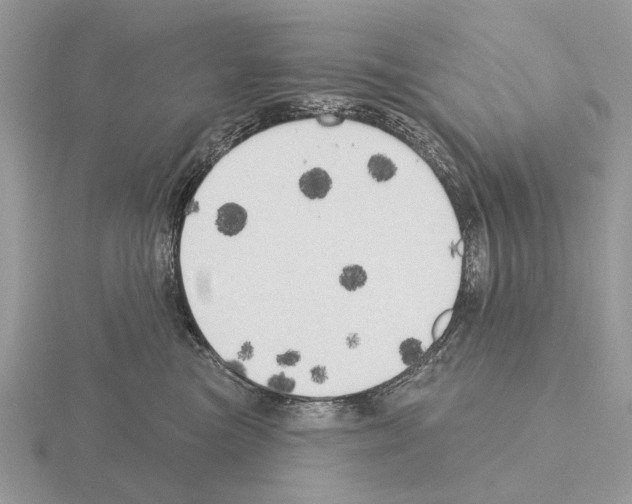 X0000115330473200912141223