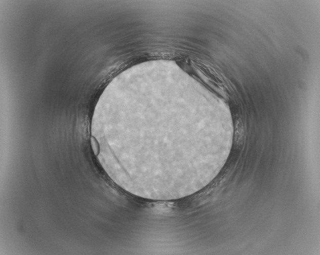 X0000115330474200912141223