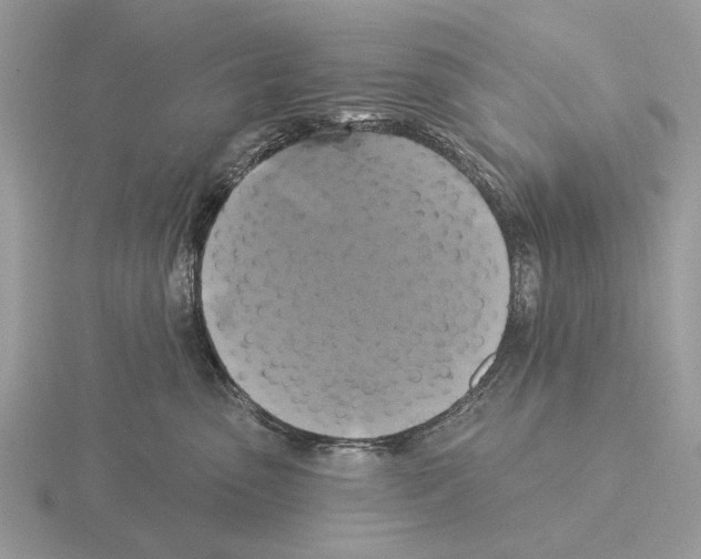 X0000115330475200912141223