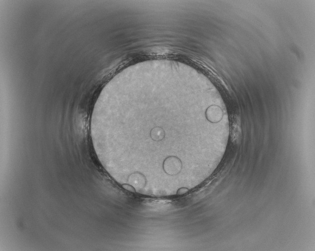 X0000115330476200912141223