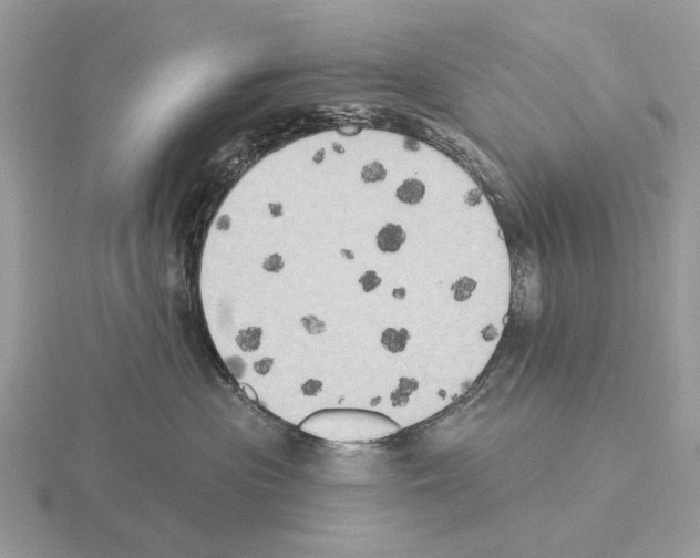 X0000115330477200912141223