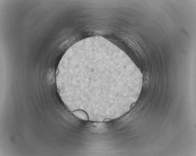 X0000115330478200912141223