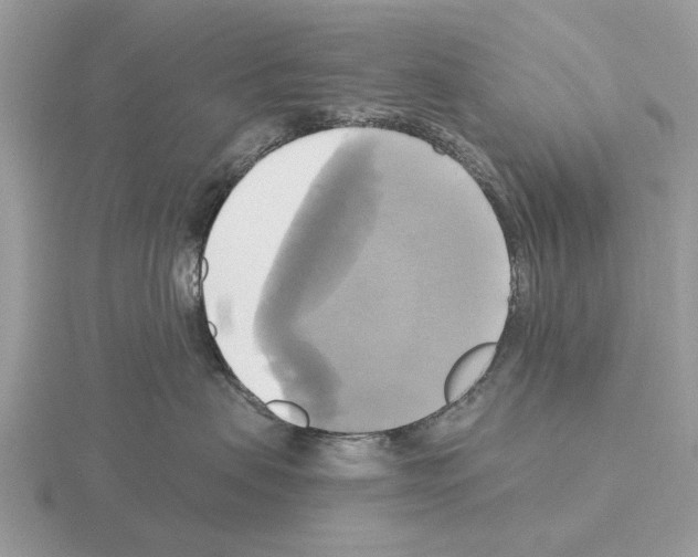 X0000115330479200912141223