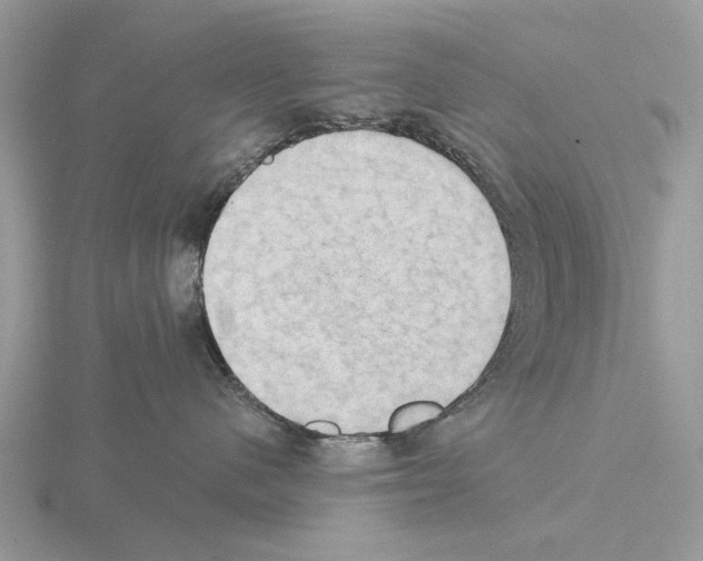 X0000115330480200912141223