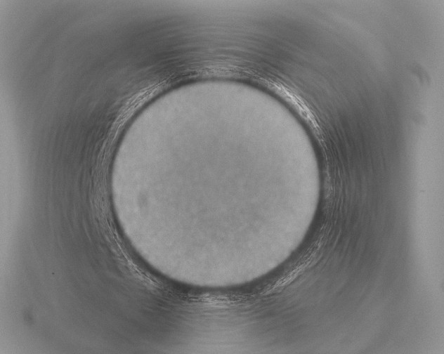 X0000115330481200912141222