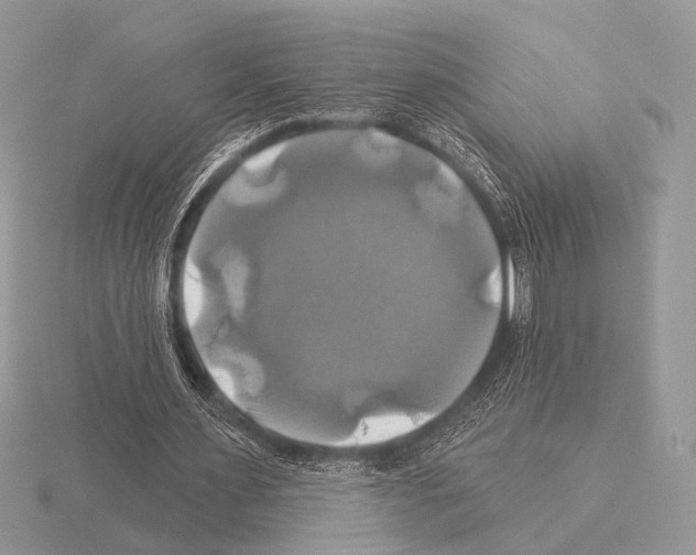 X0000115330483200912141222