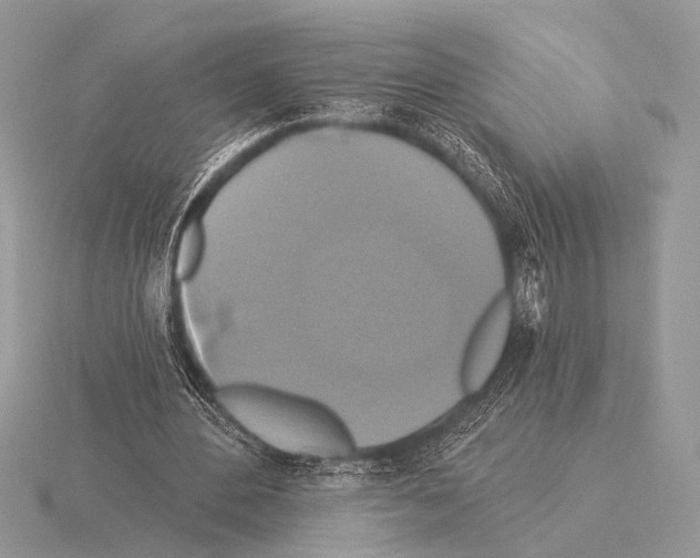 X0000115330484200912141222