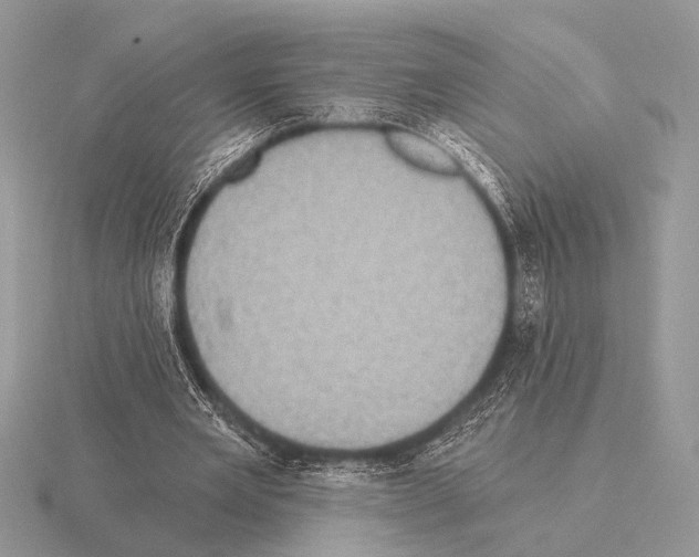 X0000115330485200912141222