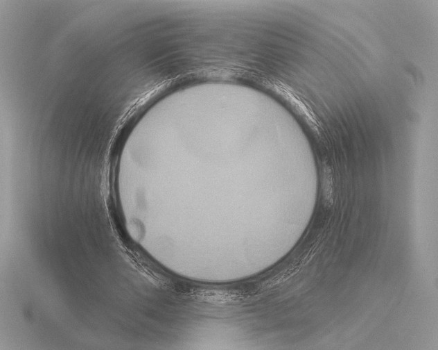 X0000115330486200912141222