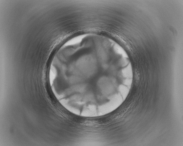 X0000115330487200912141222