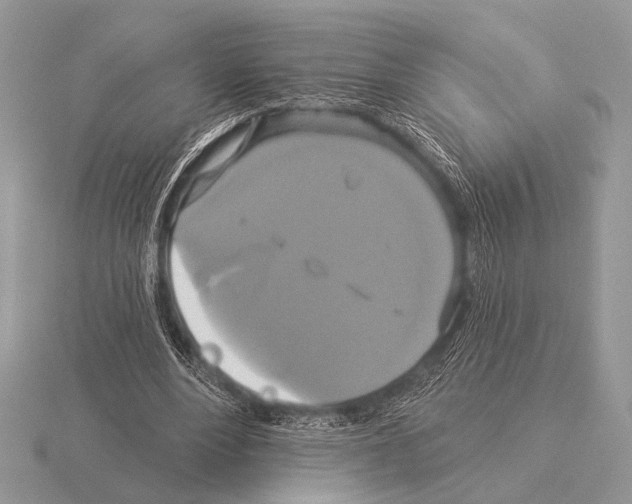 X0000115330488200912141222