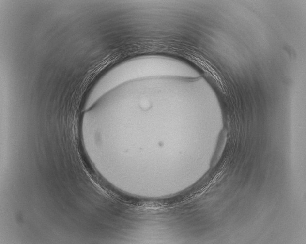 X0000115330489200912141222