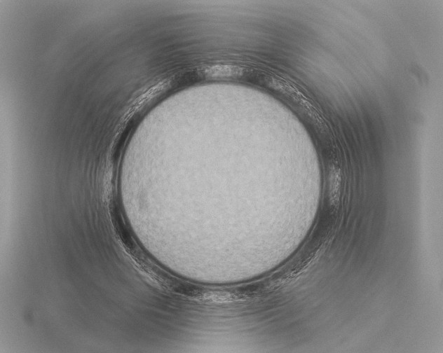 X0000115330490200912141222