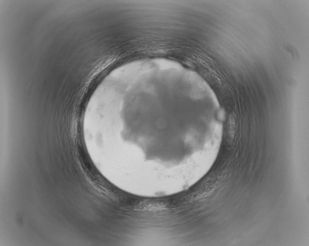 X0000115330491200912141222