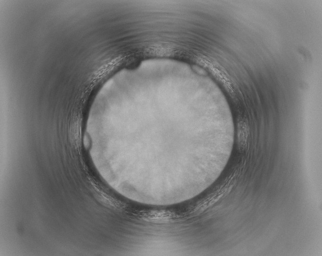 X0000115330493200912141222