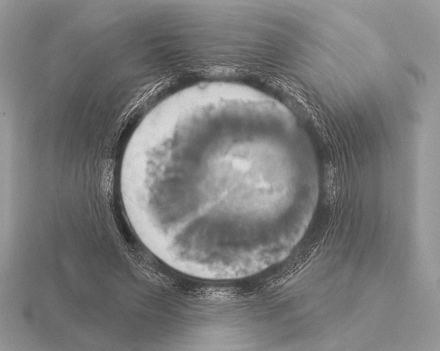 X0000115330495200912141222