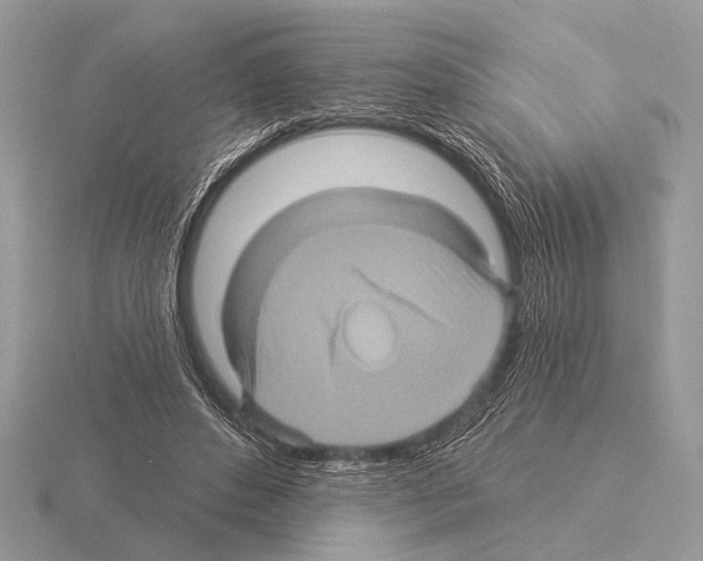 X0000115330496200912141222