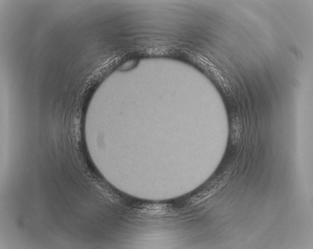 X0000115330497200912141222