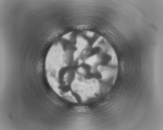 X0000115330499200912141222