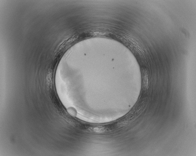 X0000115330506200912141222