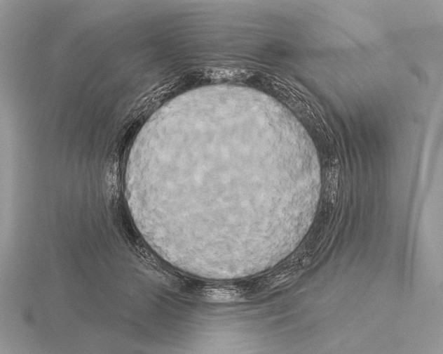 X0000115330510200912141222