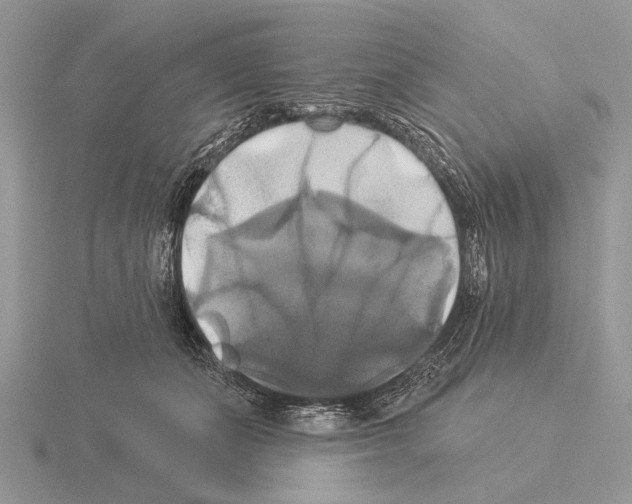 X0000115330511200912141222