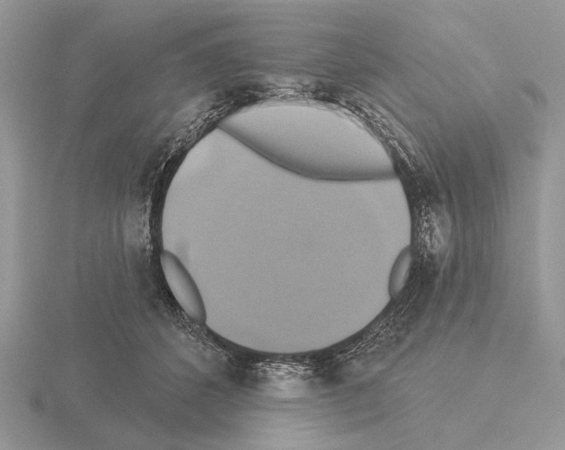 X0000115330512200912141222