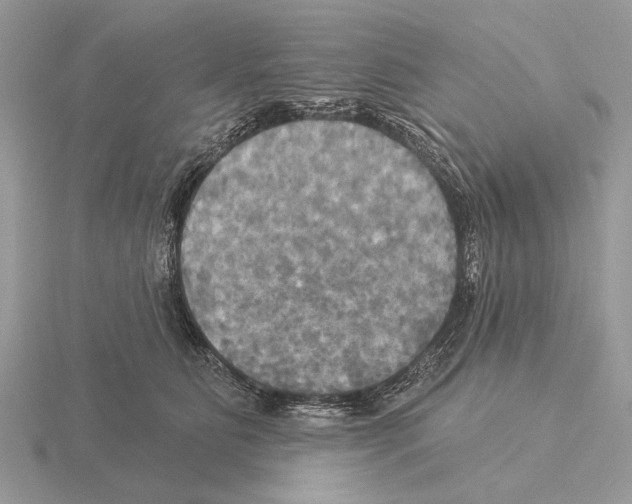 X0000115330515200912141222