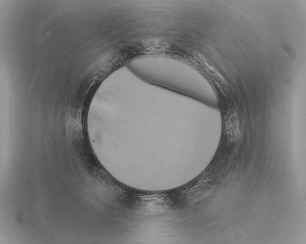 X0000115330516200912141222