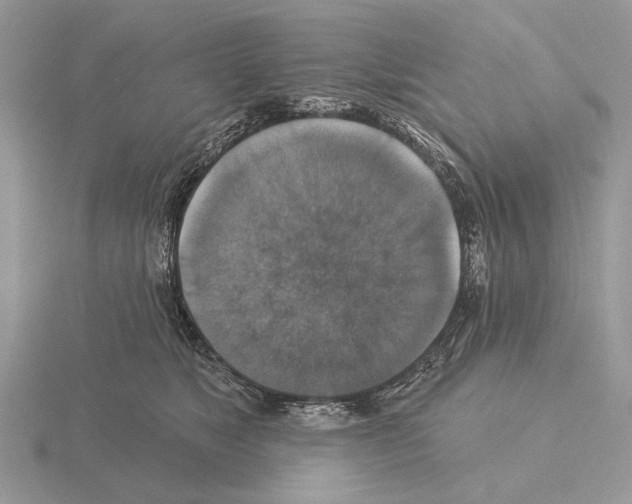 X0000115330517200912141222