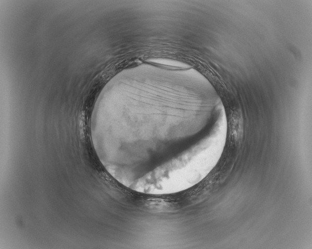 X0000115330519200912141222