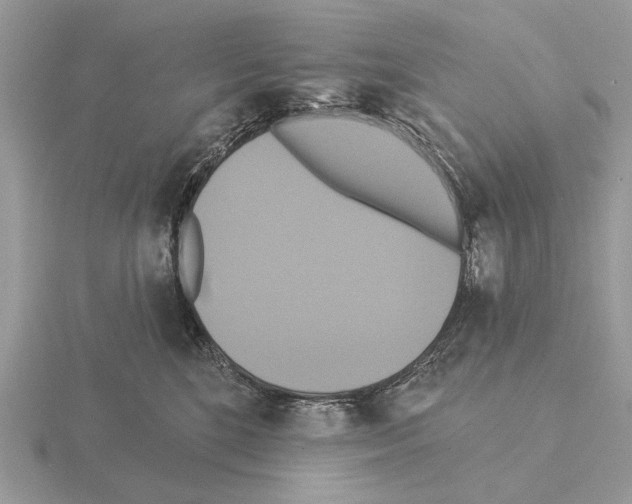 X0000115330520200912141222